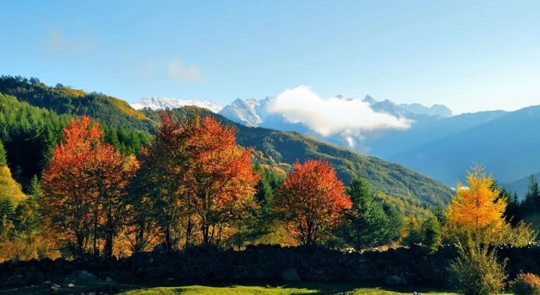 8ab293c5-5a3e-4698-9258-f108d936121f 8ab293c5-5a3e-4698-9258-f108d936121f