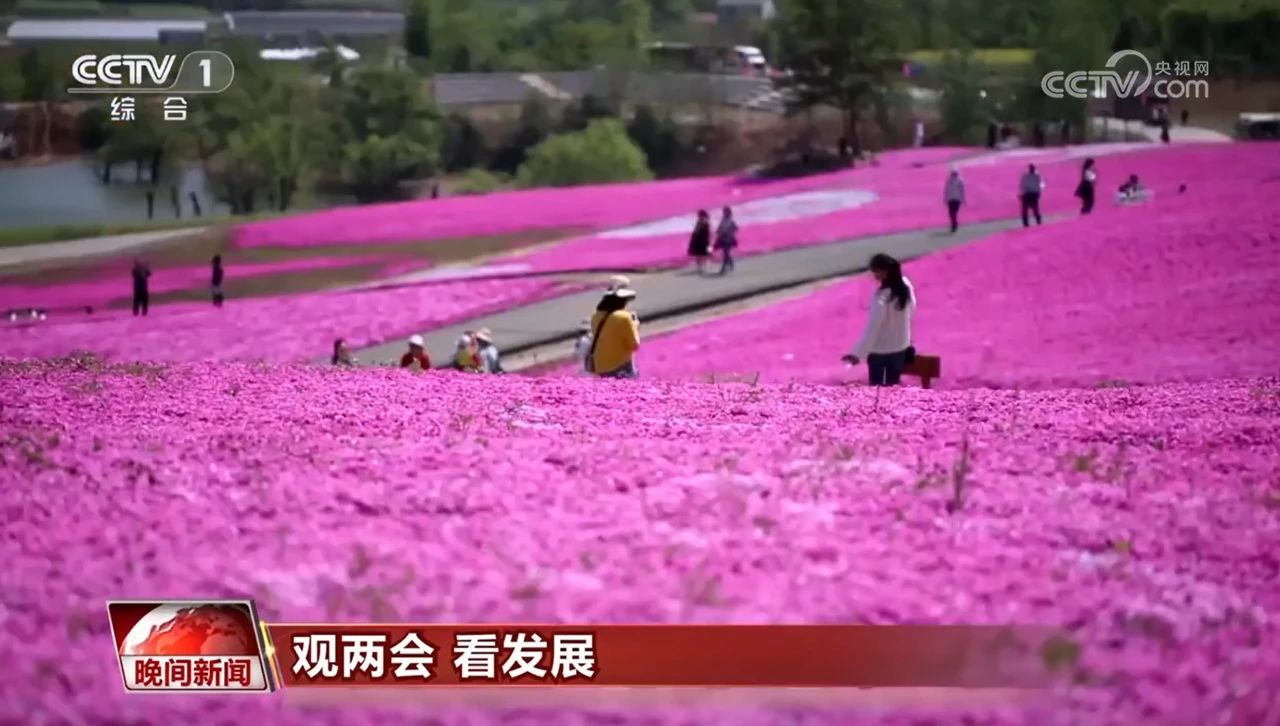 3eff9792-4ca5-4a06-8952-6e73b78acb9e 3eff9792-4ca5-4a06-8952-6e73b78acb9e